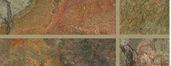 Kundmulti prin C2Studio