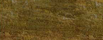 Lime Multicolour prin C2Studio