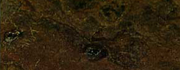 Multi Colour Marina prin C2Studio