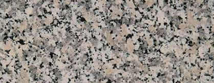 Rosa Beta prin C2Studio